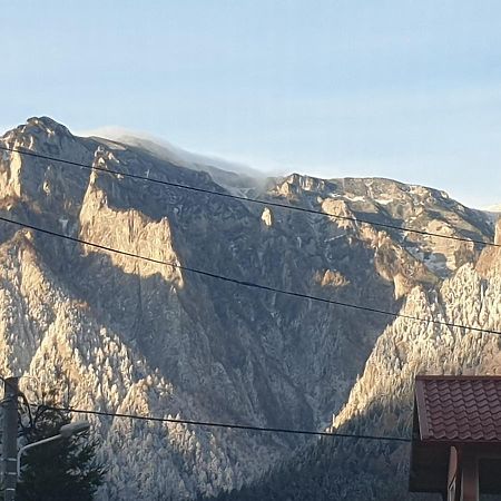 Mountain Break Azuga Ski Dış mekan fotoğraf