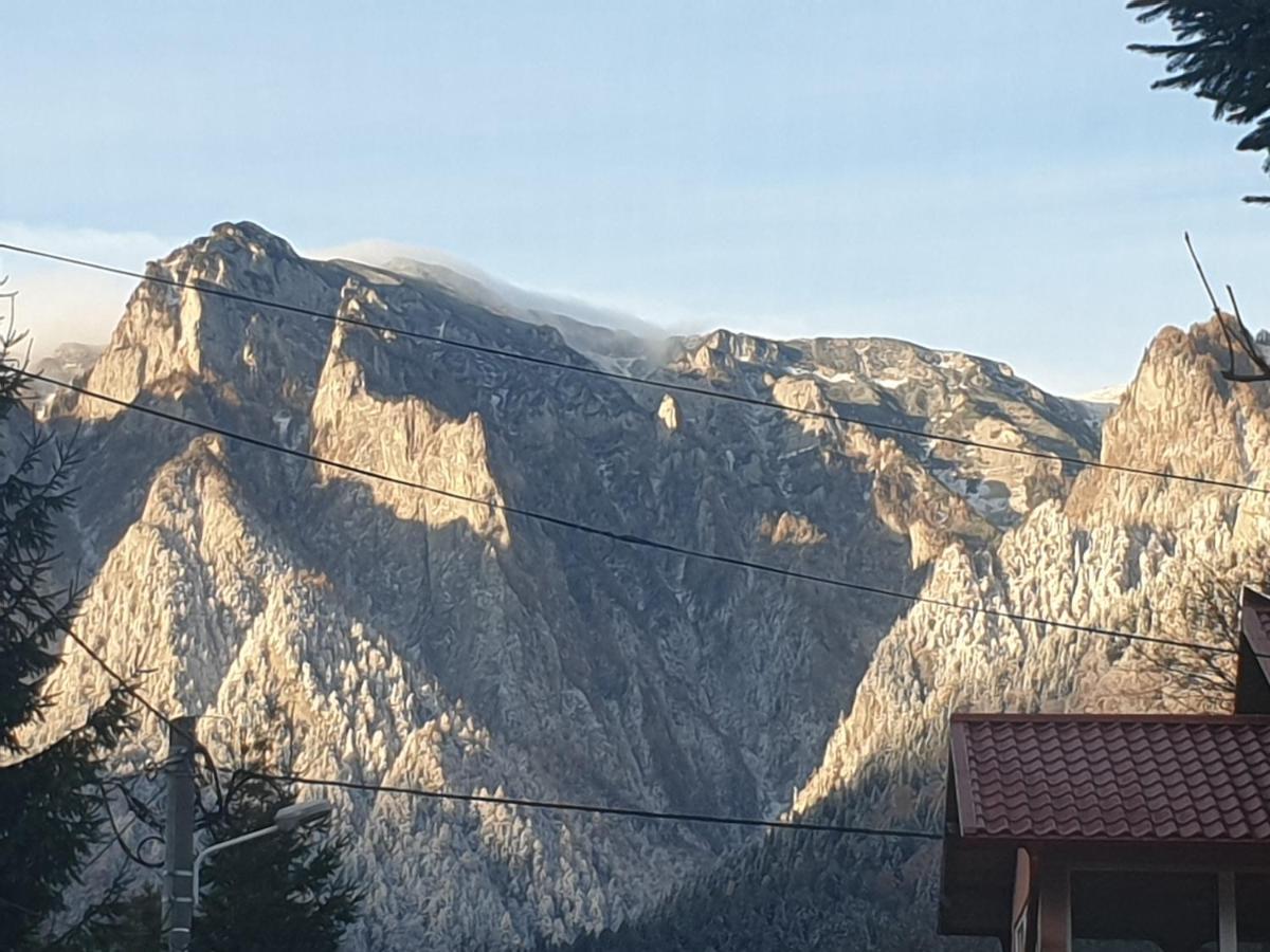 Mountain Break Azuga Ski Dış mekan fotoğraf